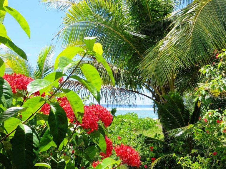 Tamarind House Venue